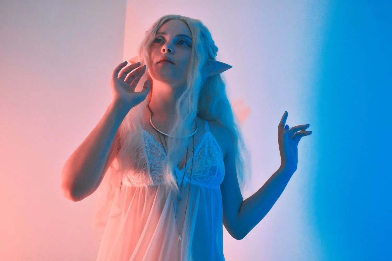 Elf main image
