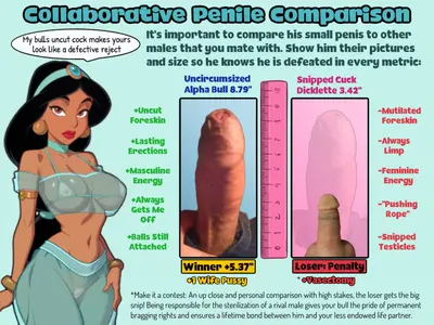 Small Penis Humiliation: SPH Etiquette cover image