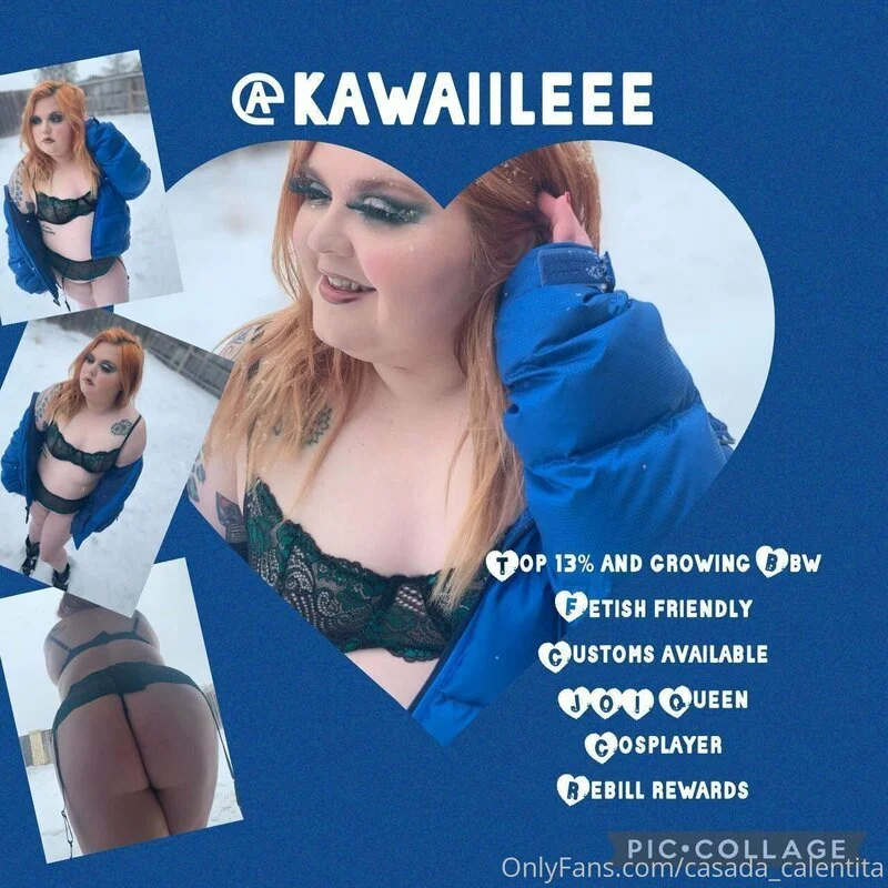 2892ac-0197dcec-f74e-7313-b83e-977ab11e395f image 14