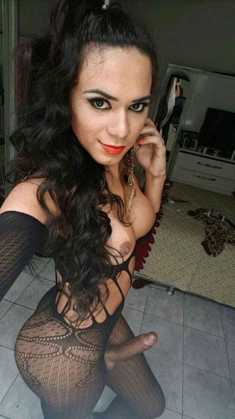 Trans Roluda image 2
