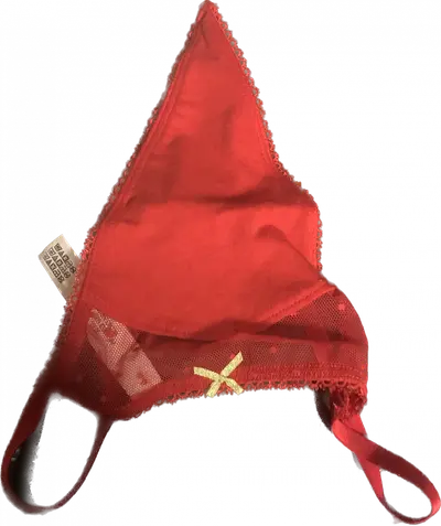 Best friends sister new thongs valentine edition cover image