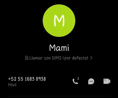 Mí mamá qué dirá de qué soy puta? cover image
