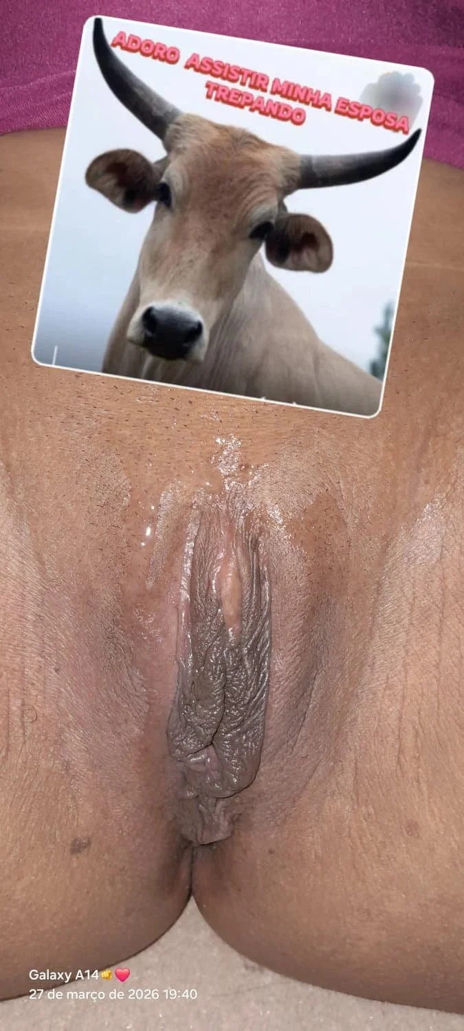Mais um amigo satisfeito,,gozou em cima pra não engravidar a esposa do corno main image