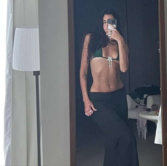 Dua Lipa Fap Collection image 16