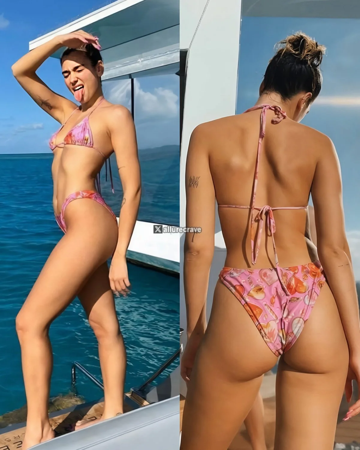 Dua Lipa Fap Collection image 9