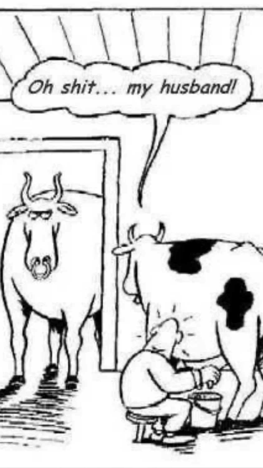 Dirty Funny 🤣 image 5