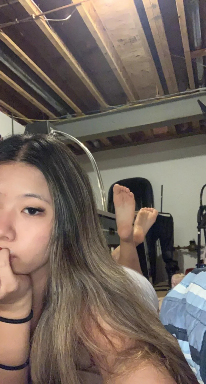 Asian swishyleaf image 24