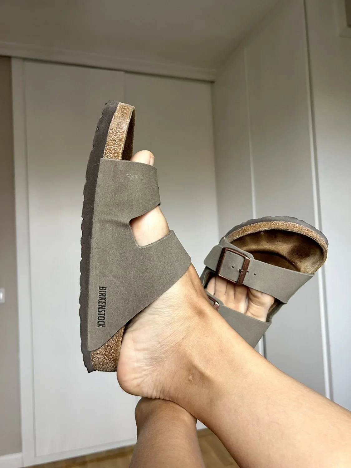TipToe Maria image 3