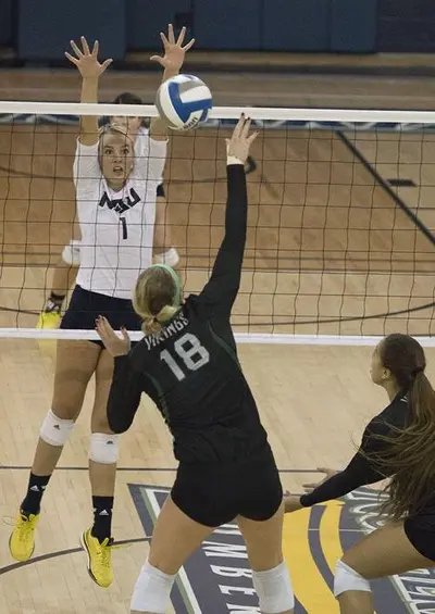Volleyball player leaked cover image
