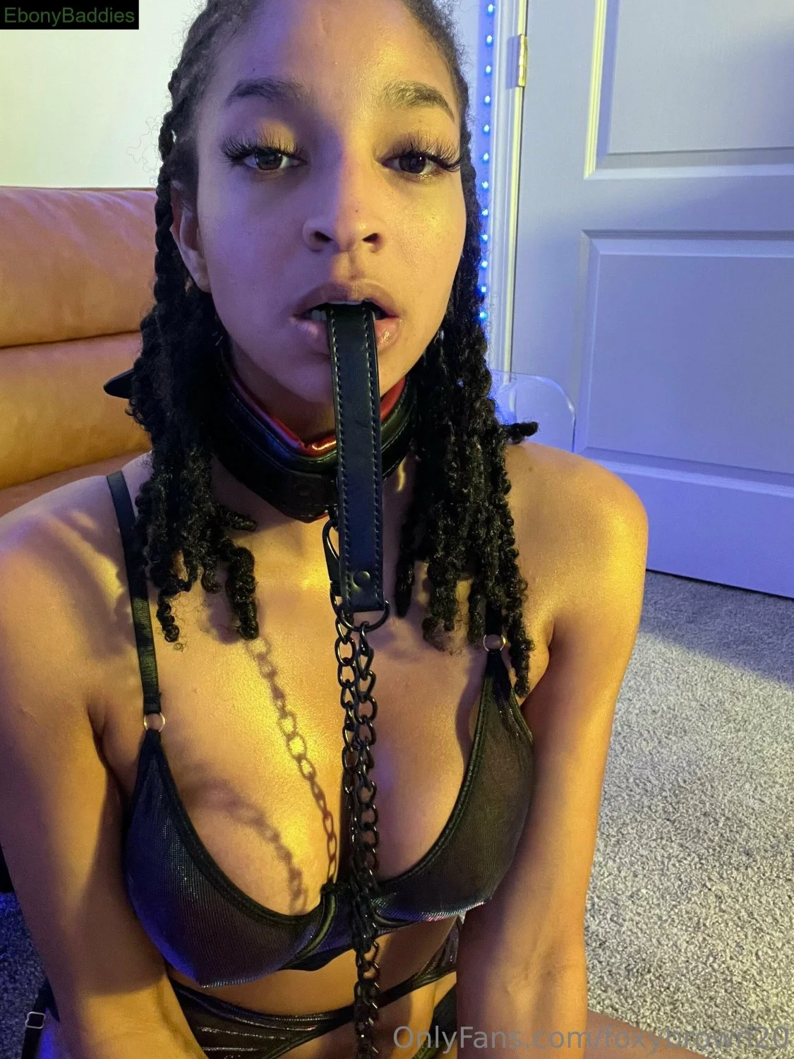 no questions asked image 46