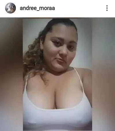 Andree chubby cover image