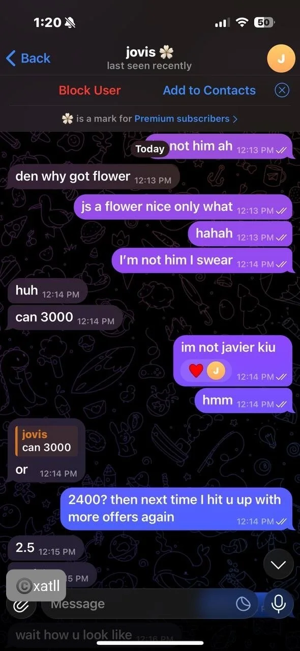 Famous SG XMM Slut (not my messages) image 23