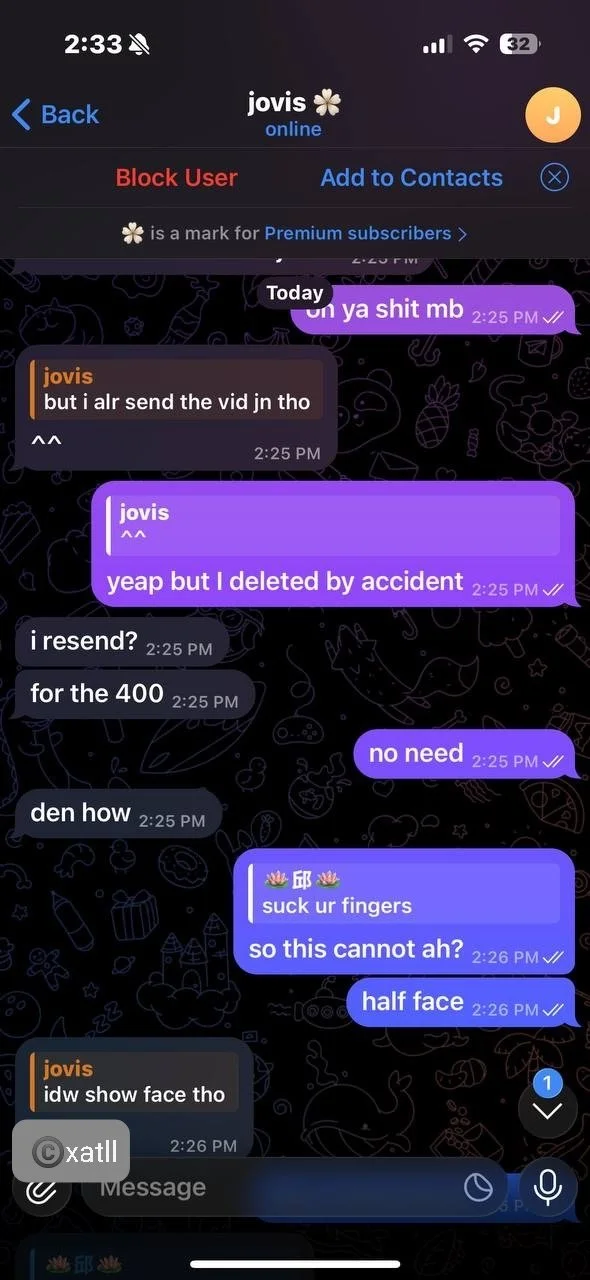 Famous SG XMM Slut (not my messages) image 28