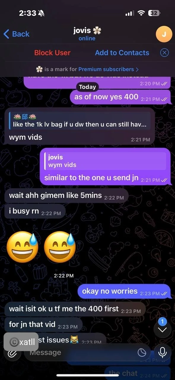 Famous SG XMM Slut (not my messages) image 33