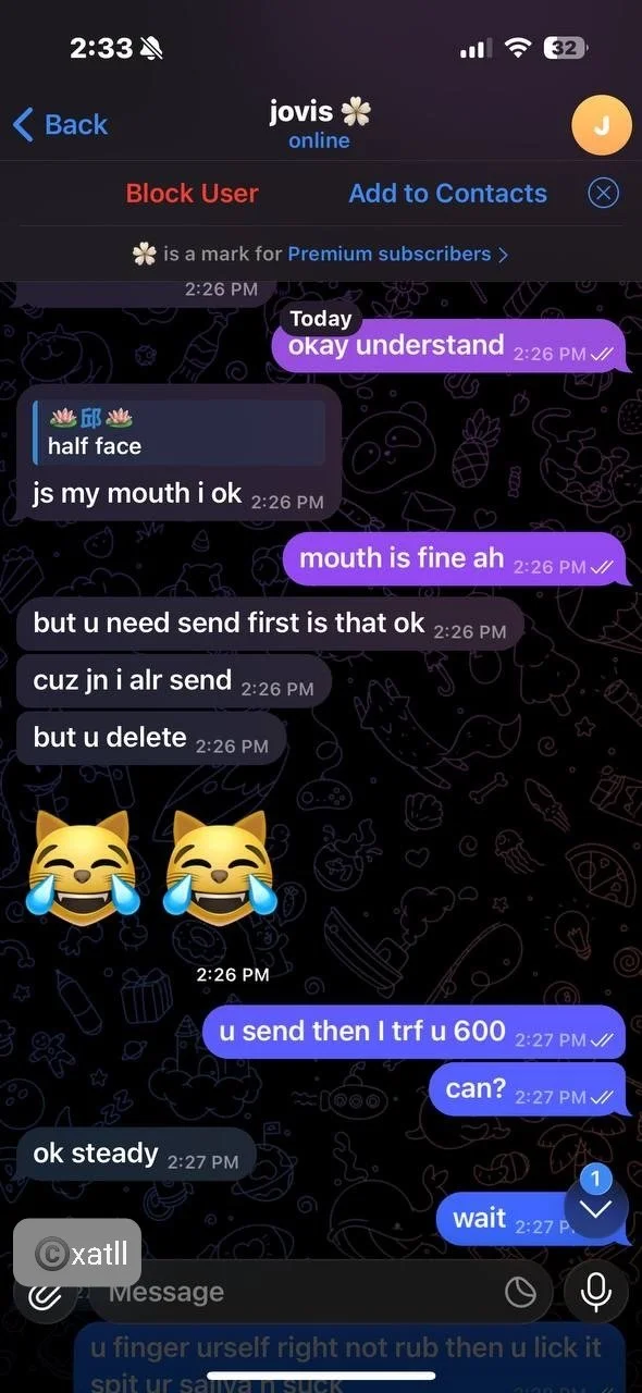 Famous SG XMM Slut (not my messages) image 39