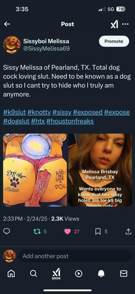 Sissy Melissa wants you to know her kinks kik t713xmelissa image 5