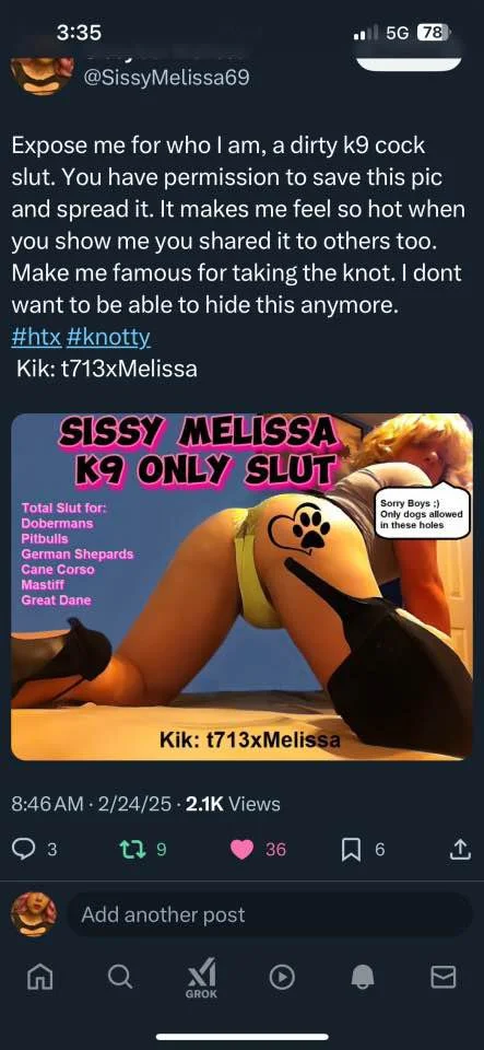 Sissy Melissa wants you to know her kinks kik t713xmelissa image 7