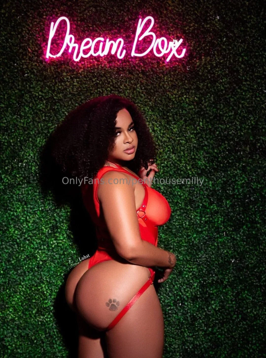 Sexy Thick Ebony Redbone Baddie main image