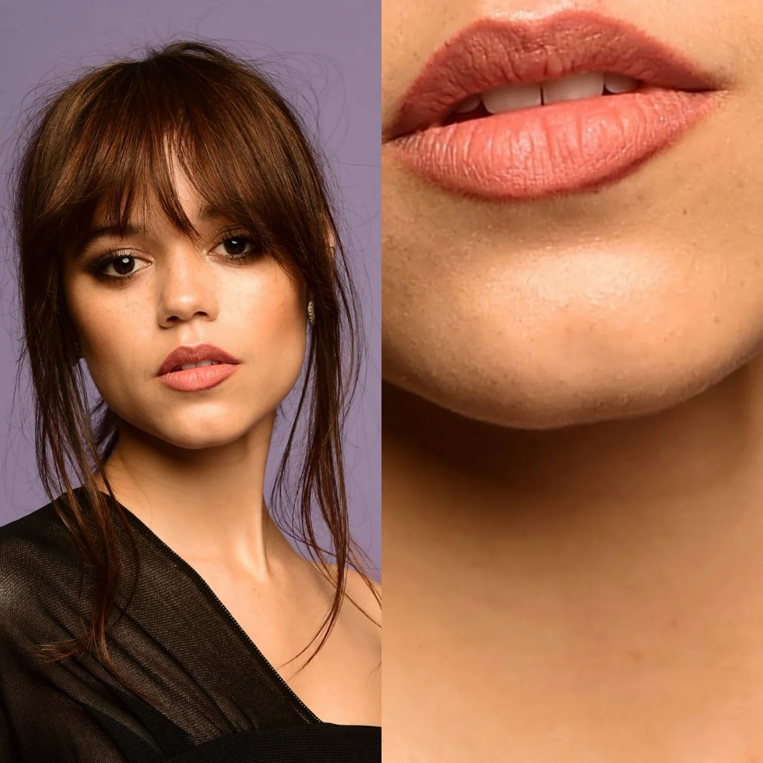 Celebrity Chins image 2