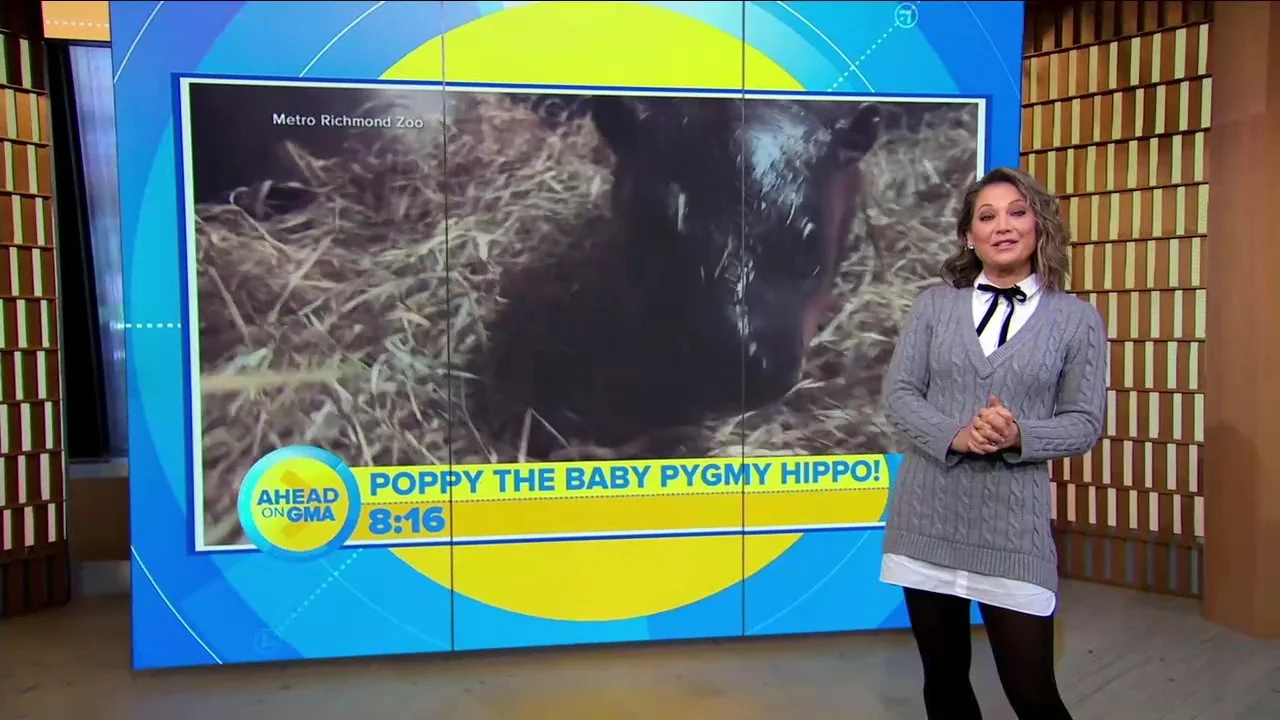 Ginger Zee. 4/21 image 12