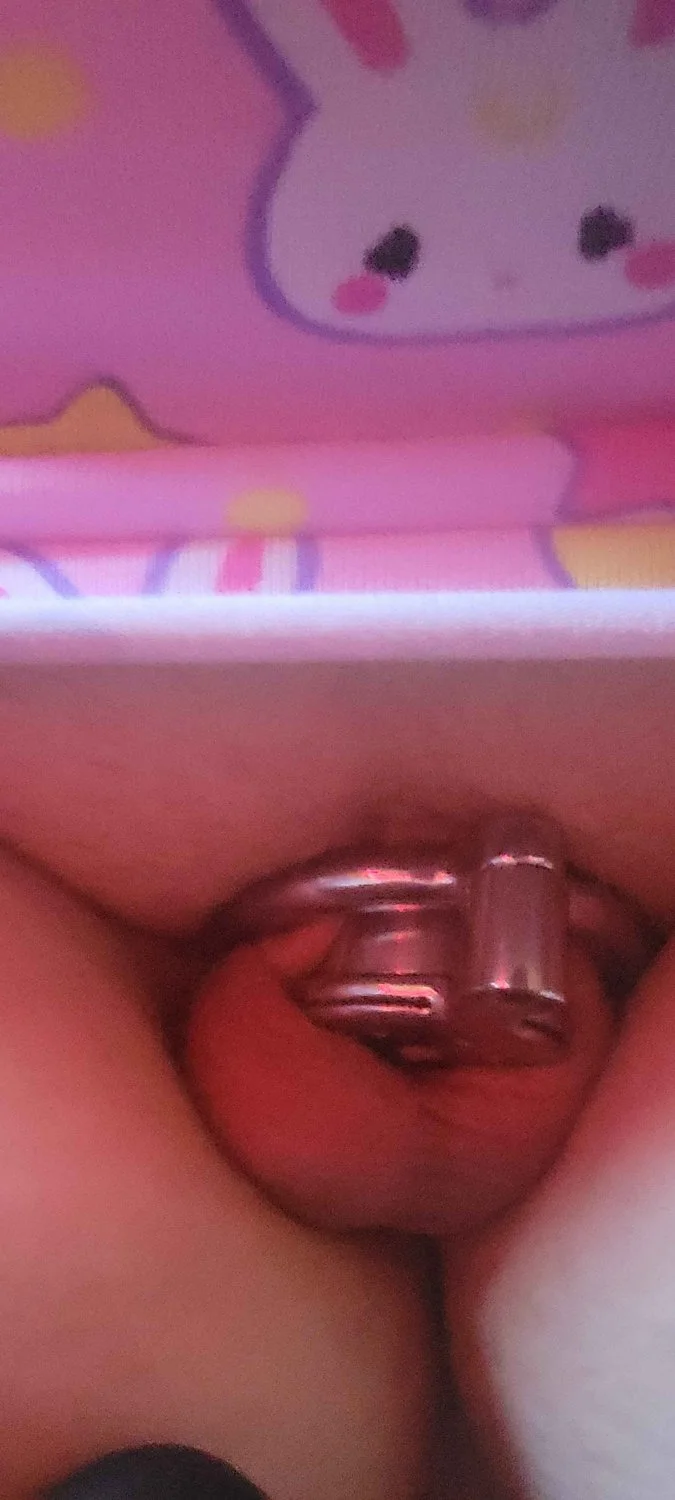 Dumb trans sissy asking to be used image 2