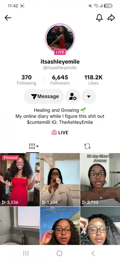 Tiktok Slut Flashing cover image