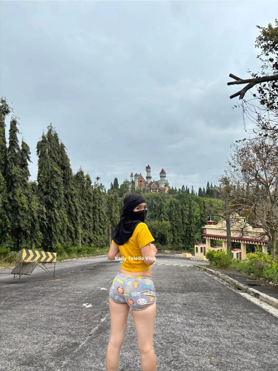 🖼️ image 29