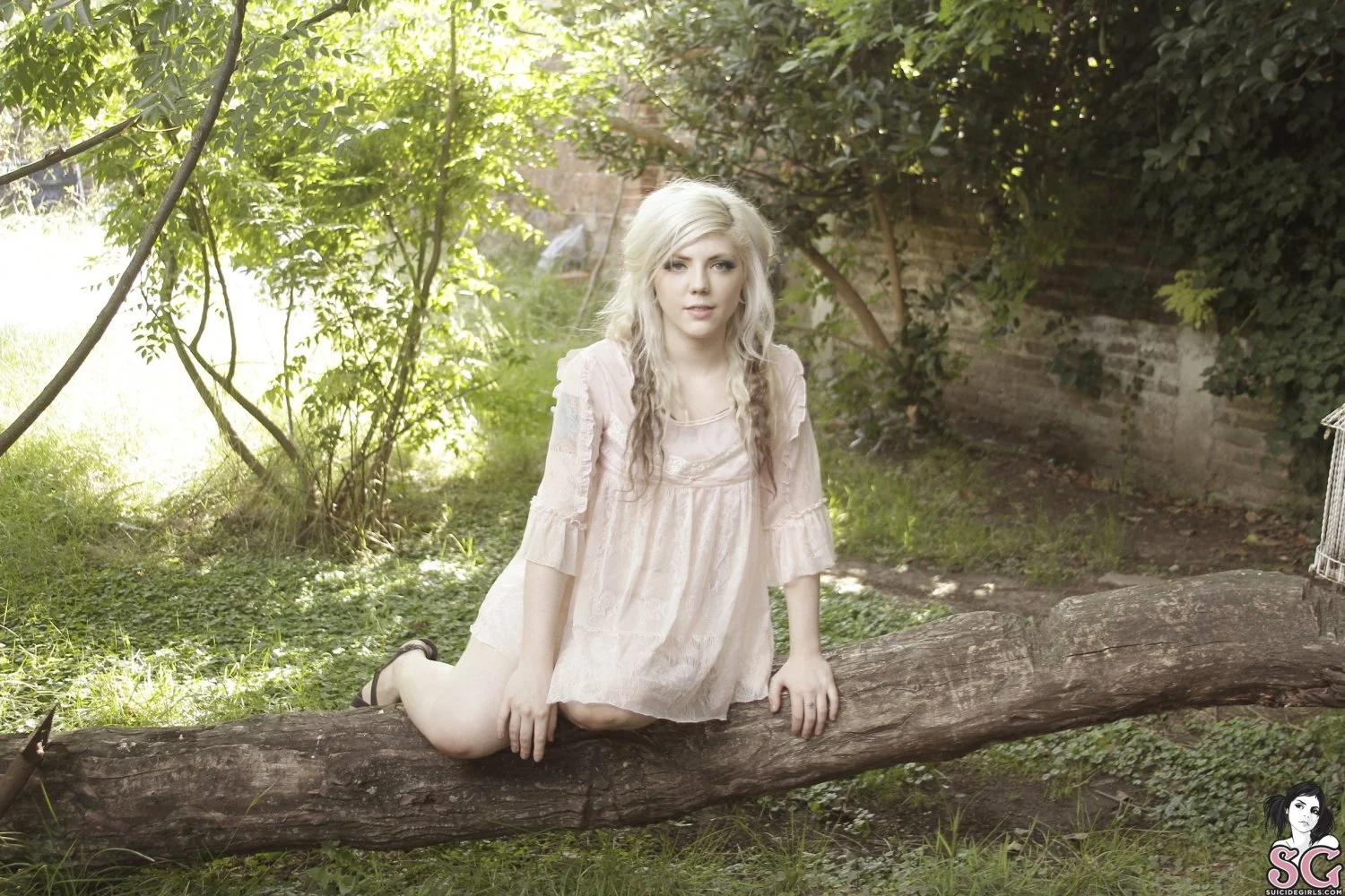 Lawita suicide main image