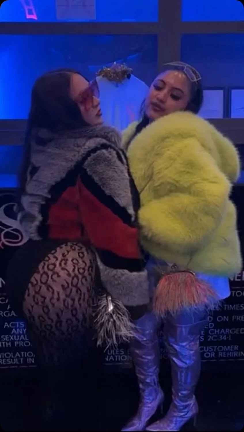 Fat ass bitch image 3