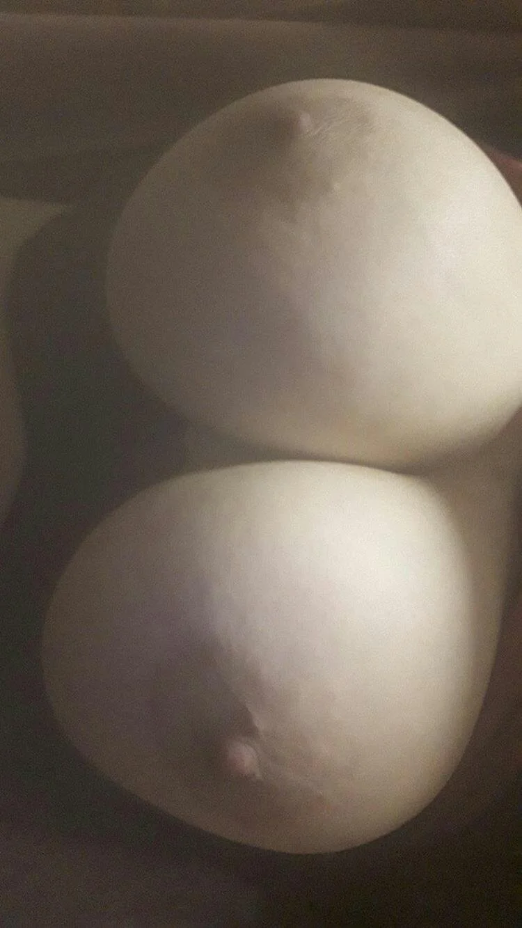 turkish hijabi slut image 7