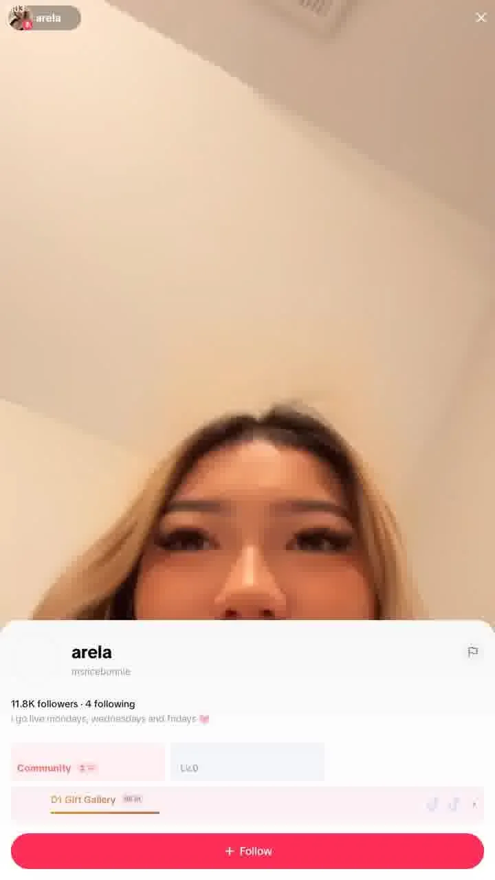 tiktok live 4r3l4 ricebunny image 2