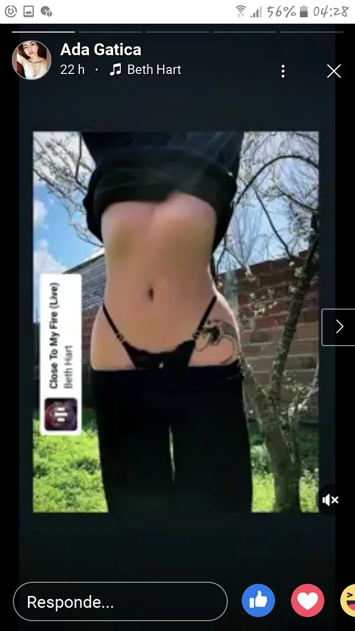 Ada gatica trola gótica de la costa argentina (aportes al dm) image 10