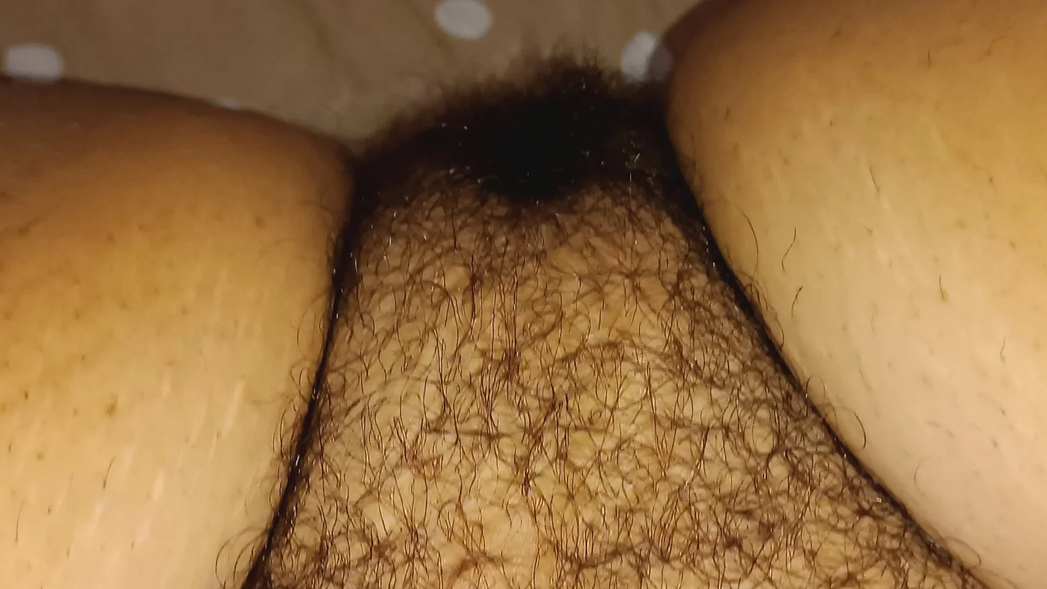 Wife hairy bush image 4