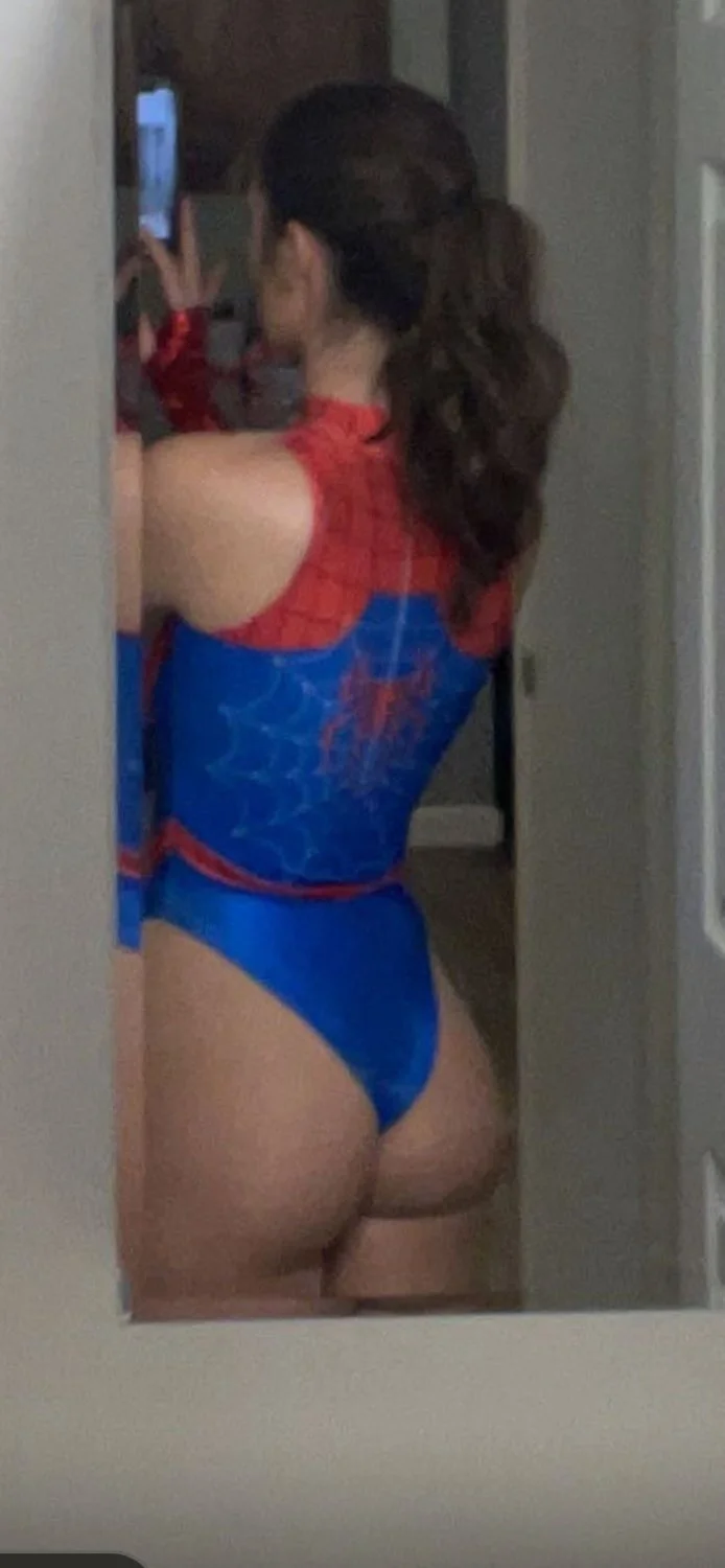 Spider image 3