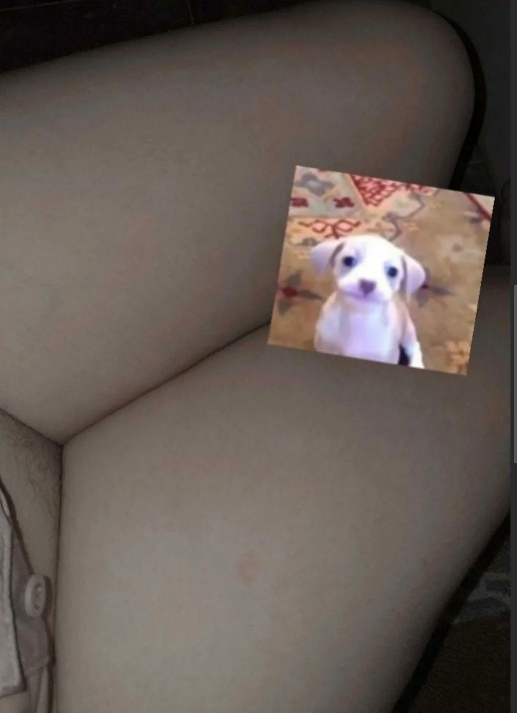 🥵 Gordibuena quemada en foros por su ex 🫣 image 4
