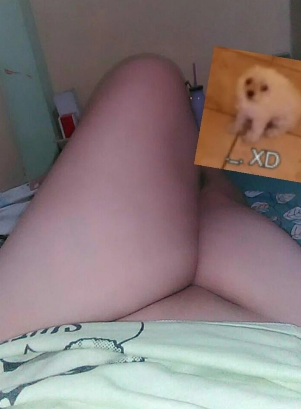 🥵 Gordibuena quemada en foros por su ex 🫣 image 6