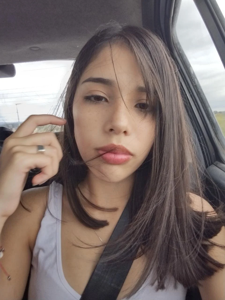 Hermosa perrita image 6