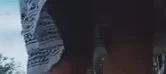 Yt image 21
