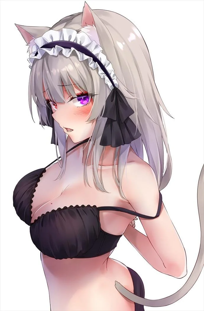 Hentai neko image 16