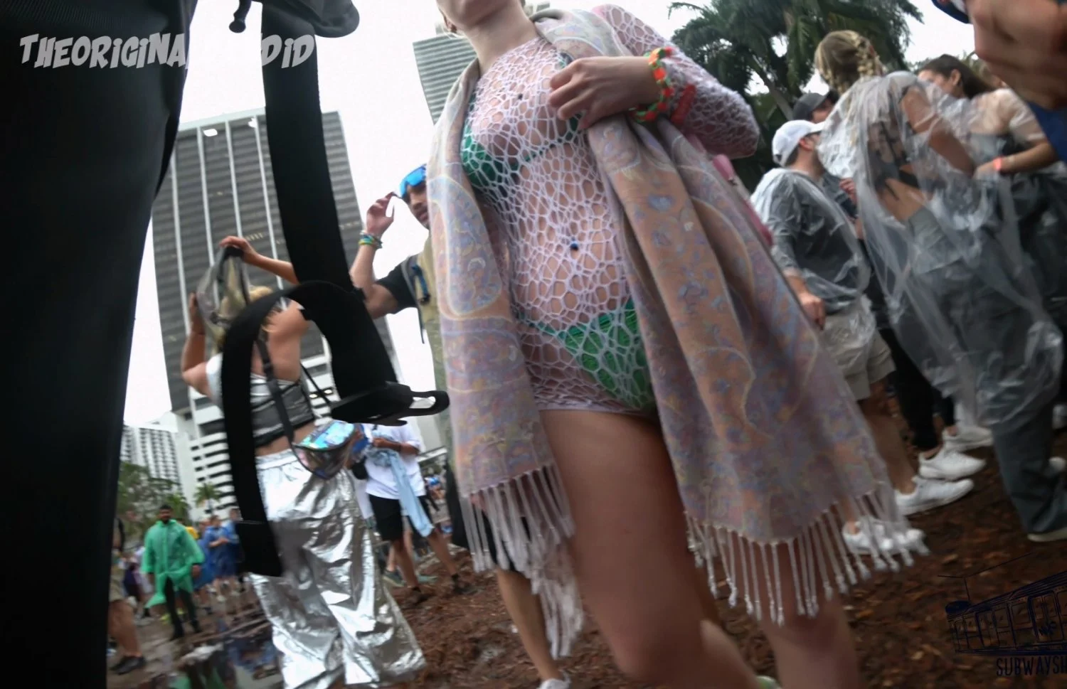 Festival ass image 2