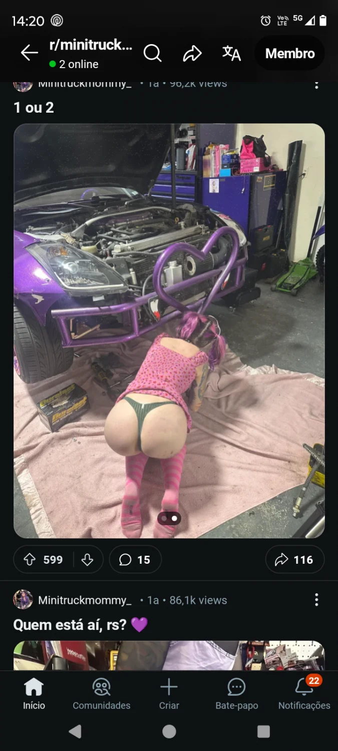 Minitrucksluts 🙂 image 21