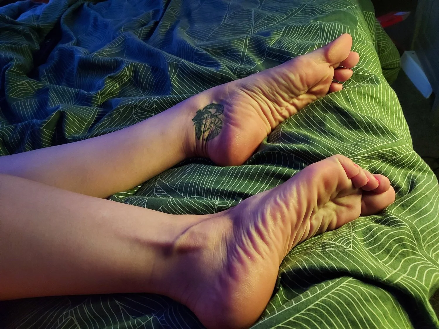 Some soles Luna stellar image 5