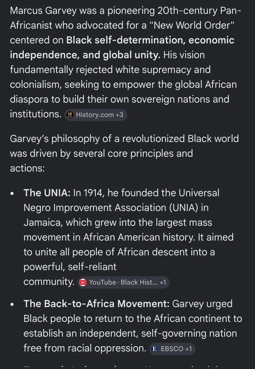 TRUTH ON BLACK NEW WORLD ORDER 🌎🛜🫂2050 image 6