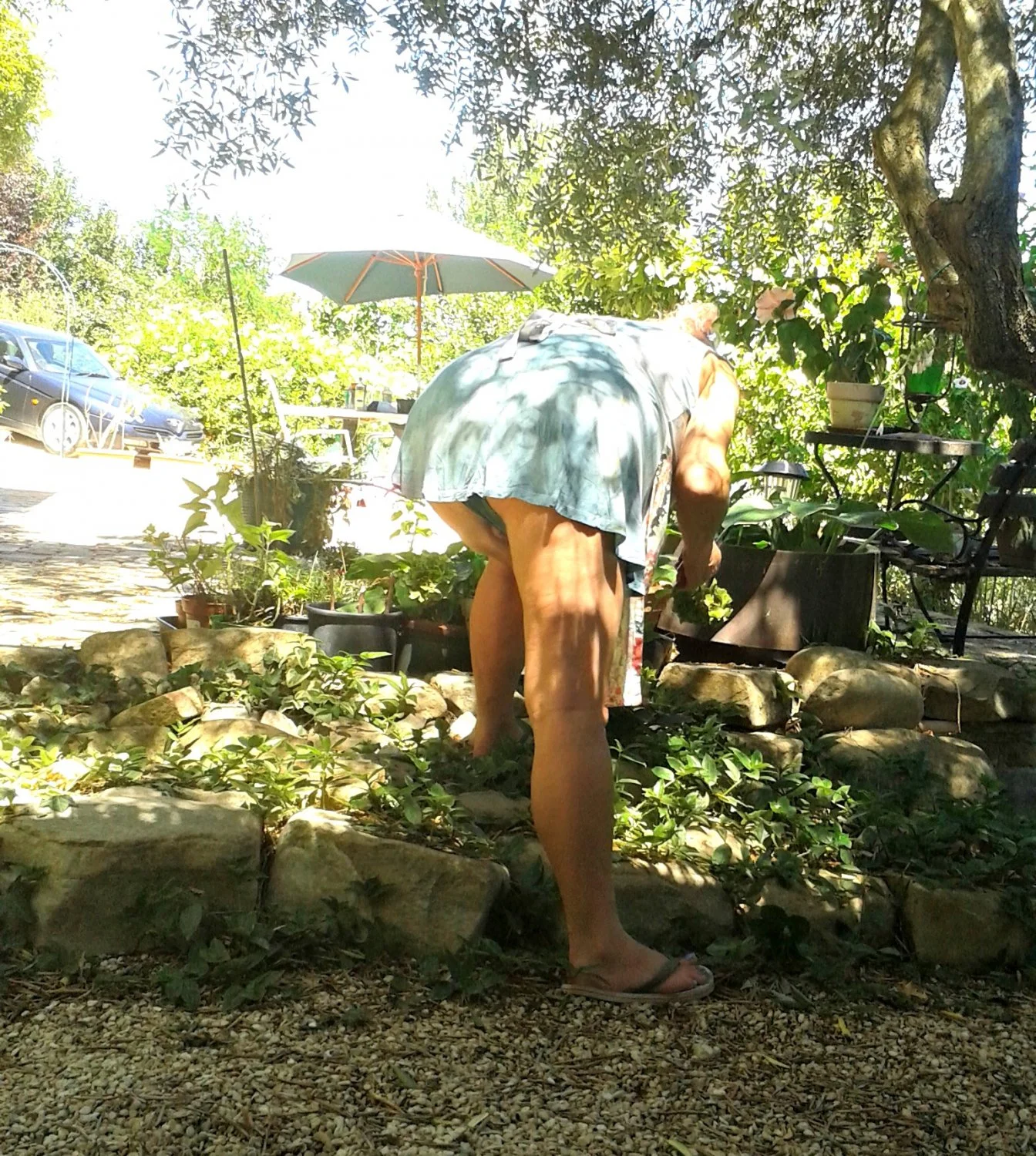 Ruined knickers image 10