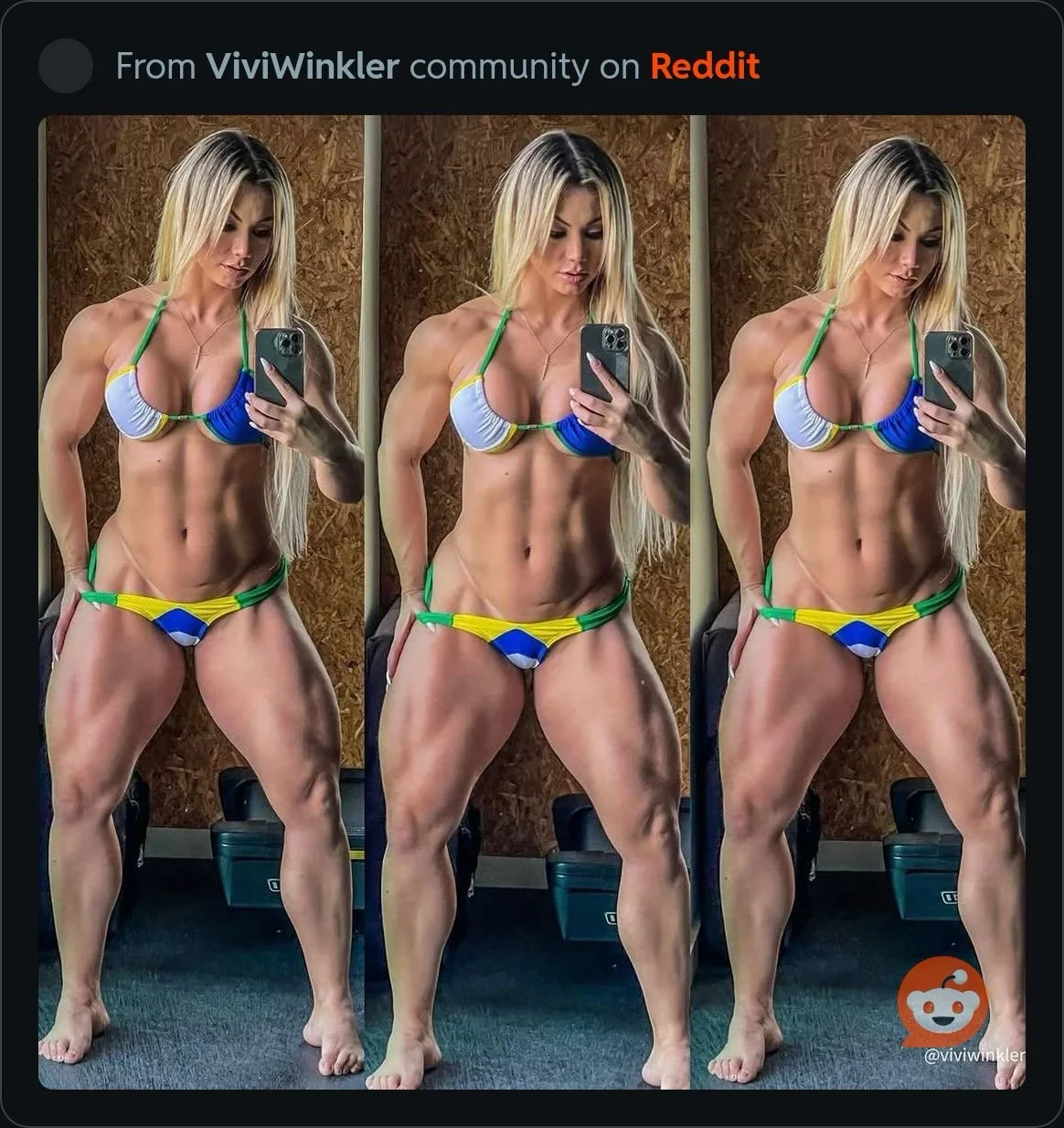 Vivi winkler image 9