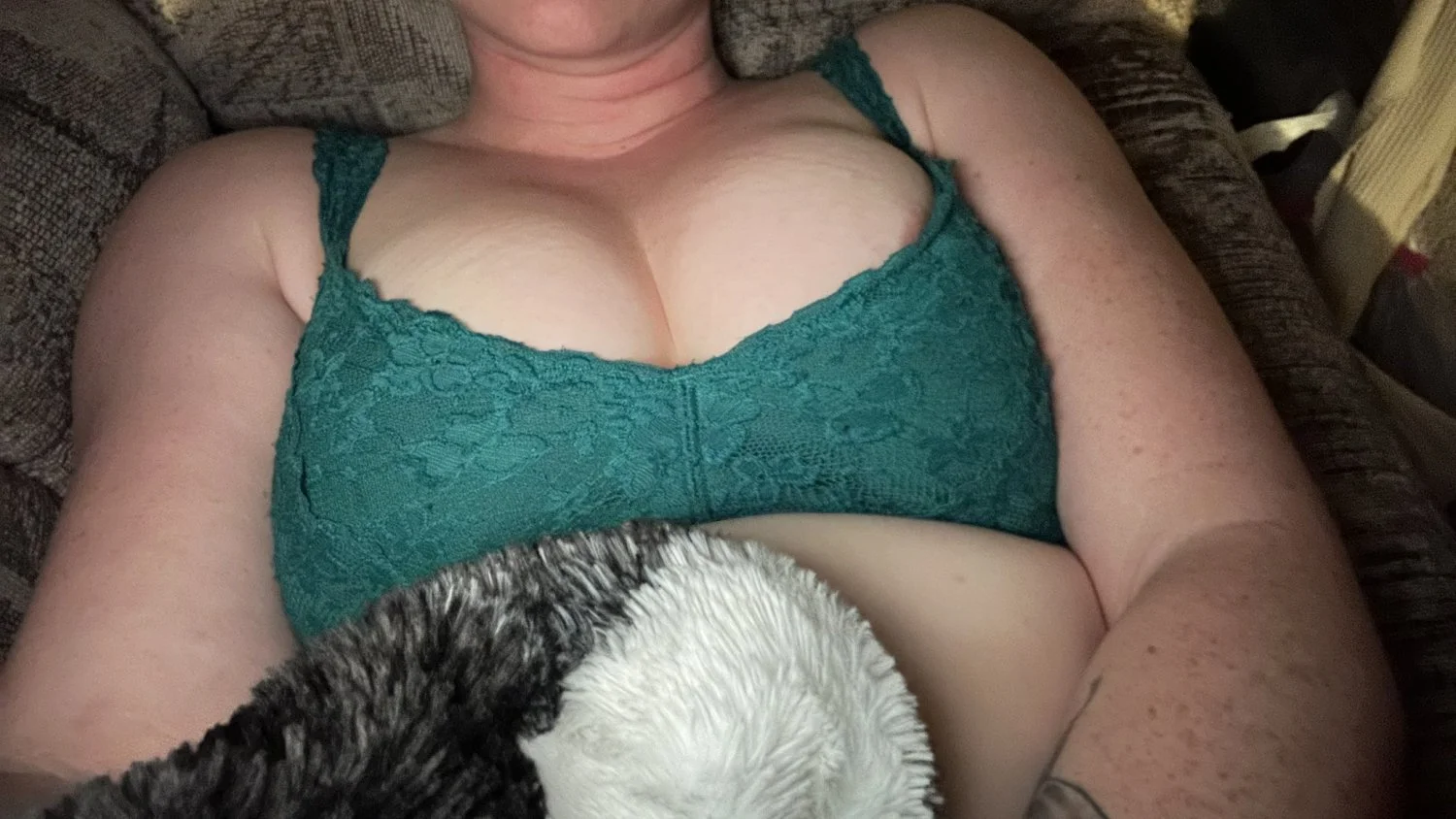 Slut wants to be exposed and be porn for everyone on the internet image 5