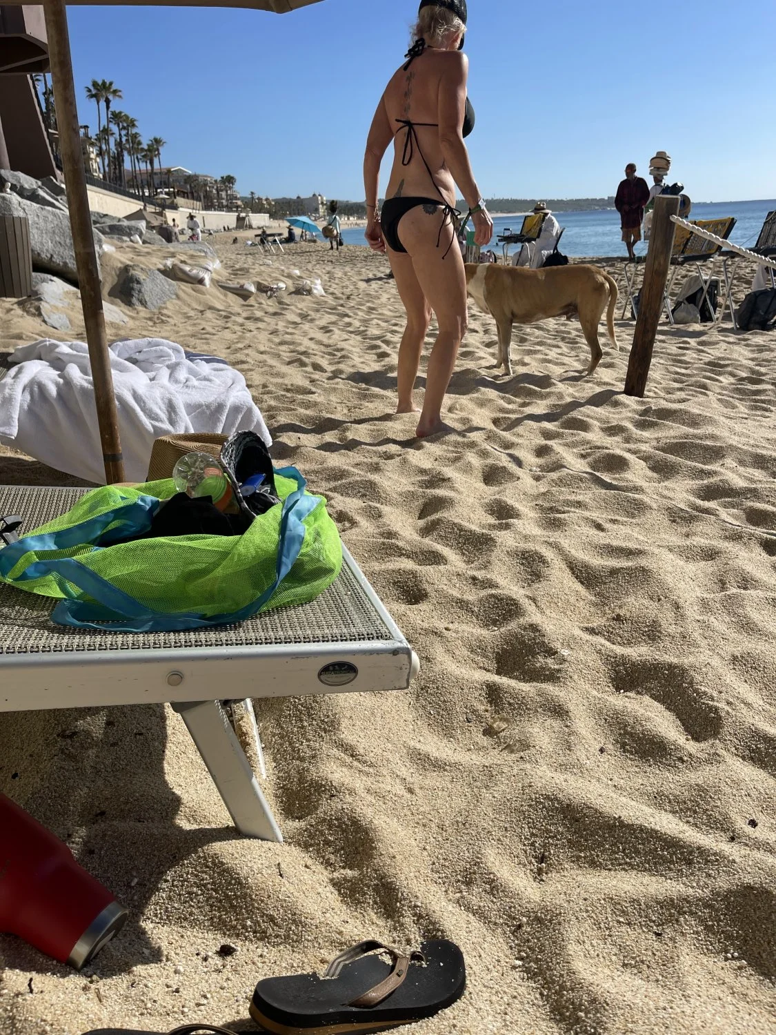 Repost if you want to do a meet and fuck image 6