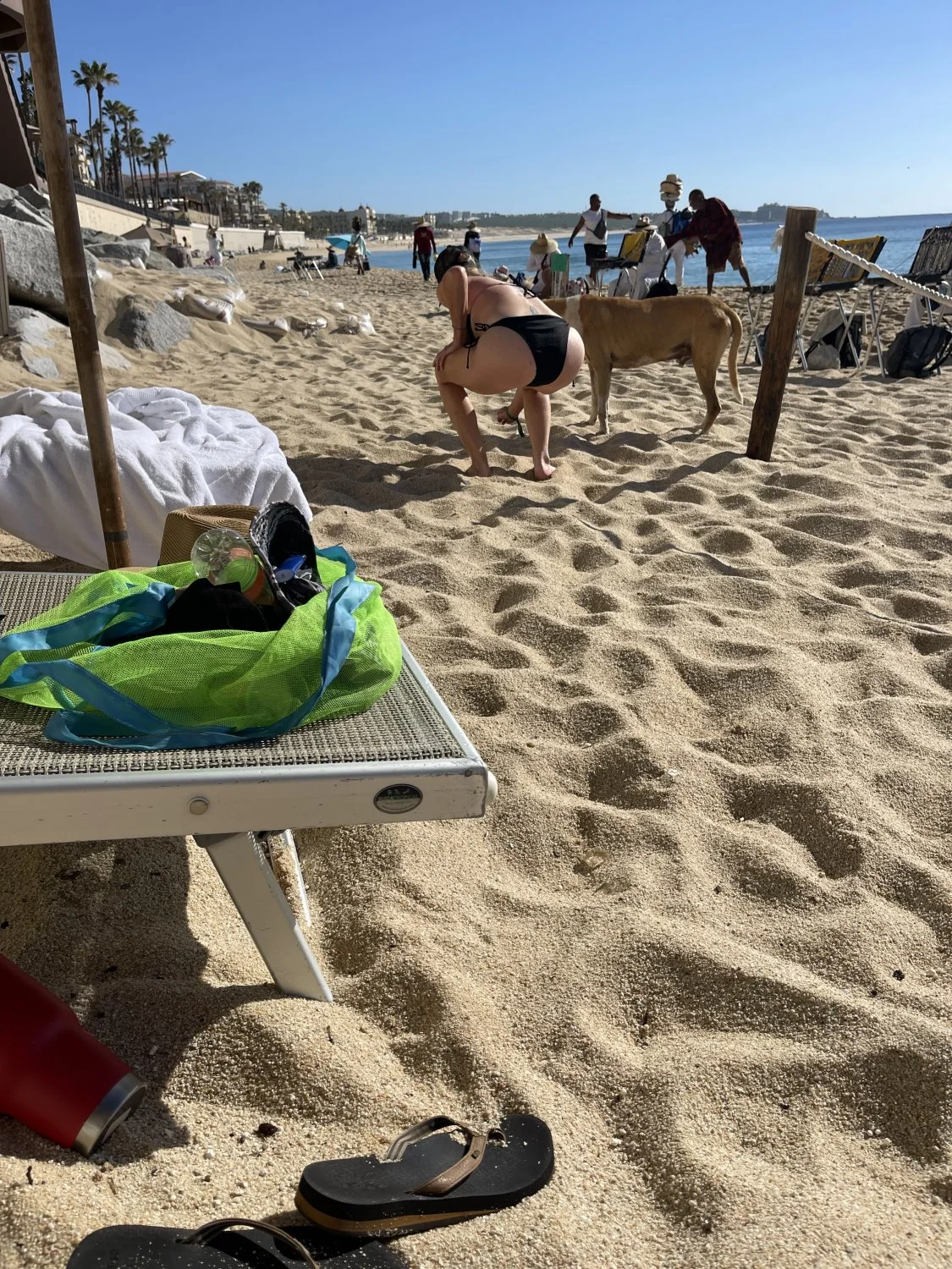 Repost if you want to do a meet and fuck image 8