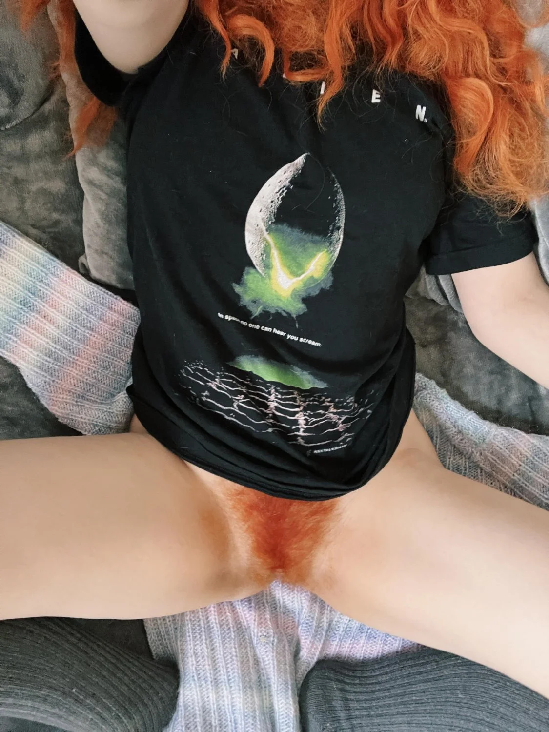 Geeky Cherry red bush🍒🌳 image 8