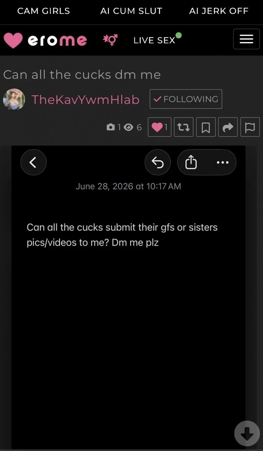 Can’t dm you, Hmong image 2